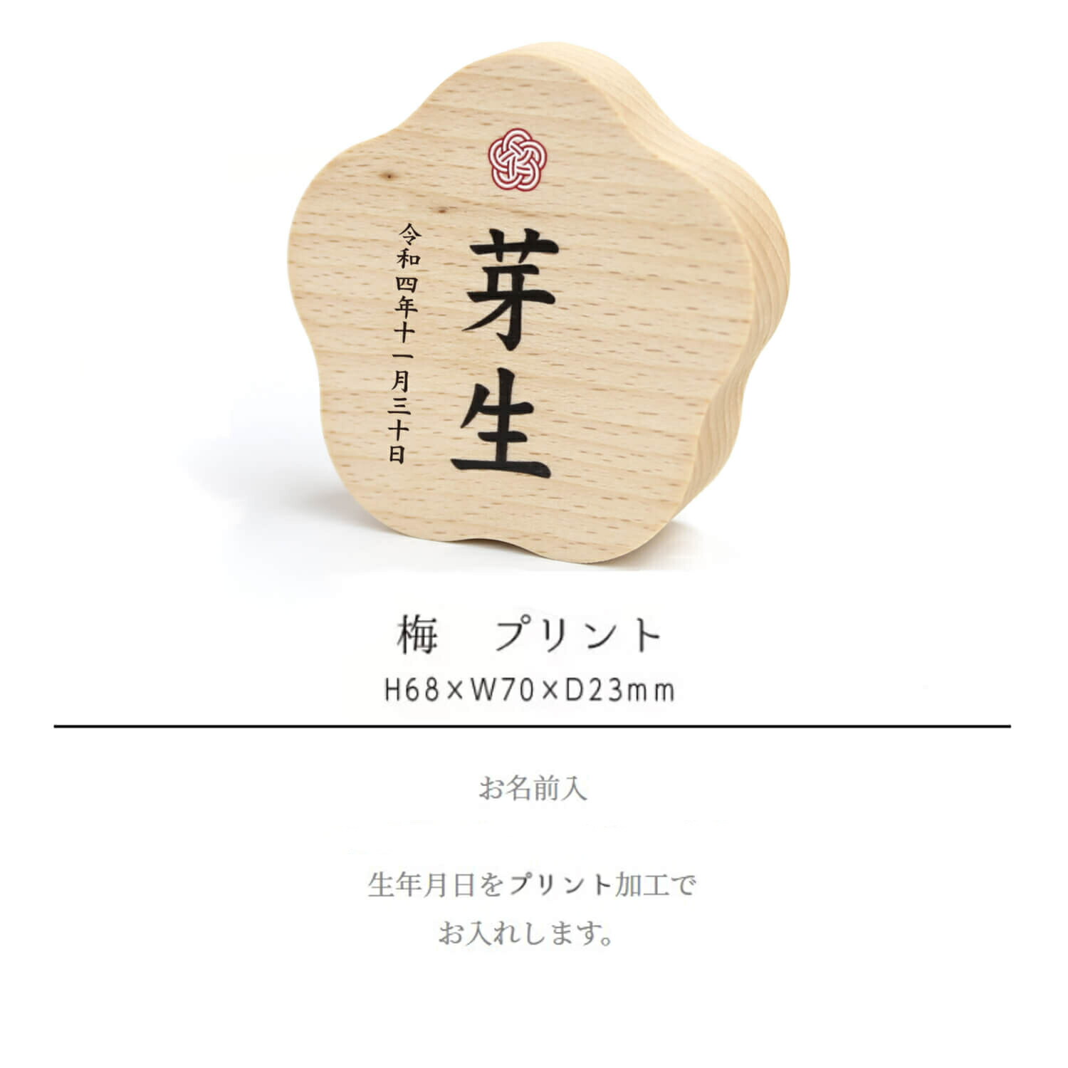 説明文